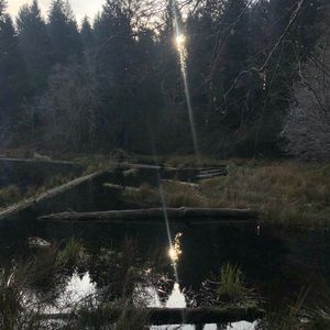 Meet your Posher, Katy